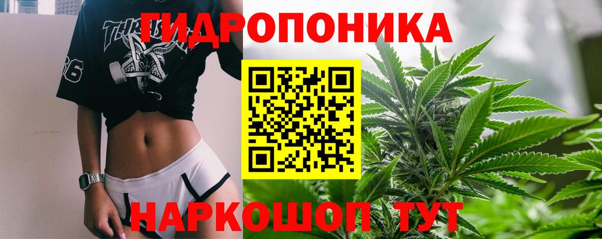 Каннабис планчик  МАРИХУАНА LSD WEED  Топки  Вход с VPN 